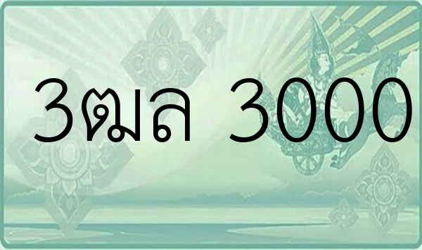 3ฒล 3000